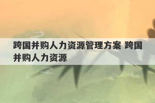 跨国并购人力资源管理方案 跨国并购人力资源