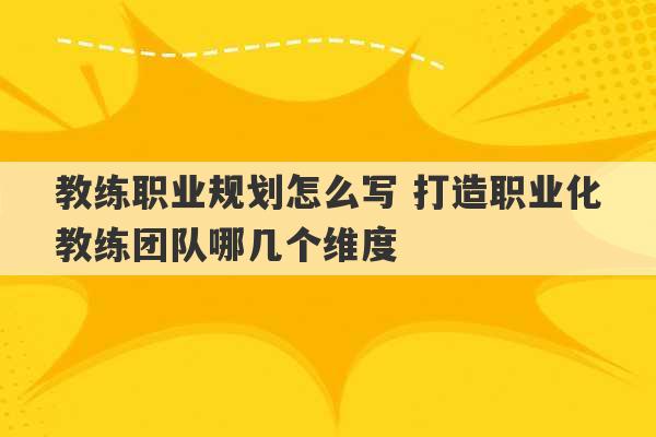 教练职业规划怎么写 打造职业化教练团队哪几个维度