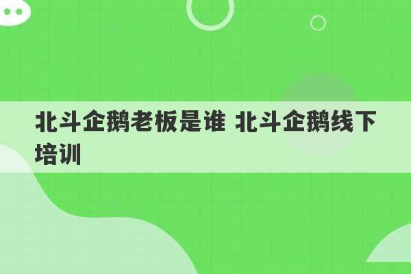 北斗企鹅老板是谁 北斗企鹅线下培训