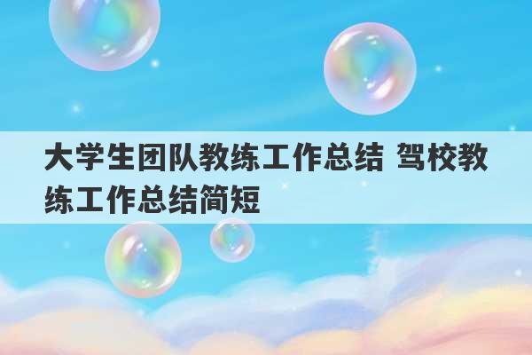 大学生团队教练工作总结 驾校教练工作总结简短