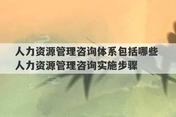 人力资源管理咨询体系包括哪些 人力资源管理咨询实施步骤