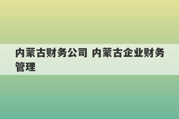 内蒙古财务公司 内蒙古企业财务管理