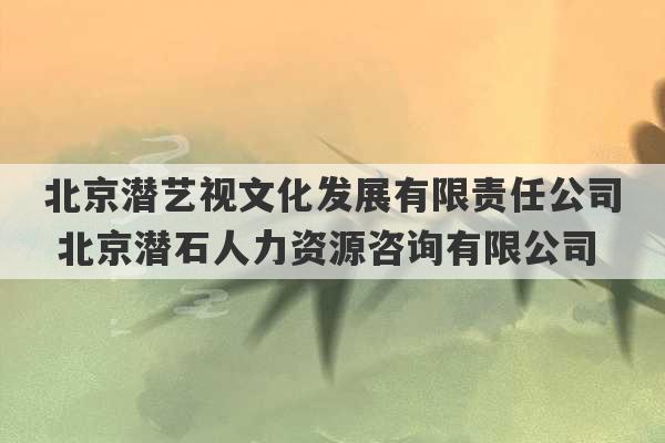 北京潜艺视文化发展有限责任公司 北京潜石人力资源咨询有限公司