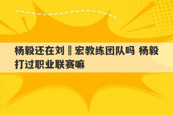 杨毅还在刘畊宏教练团队吗 杨毅打过职业联赛嘛