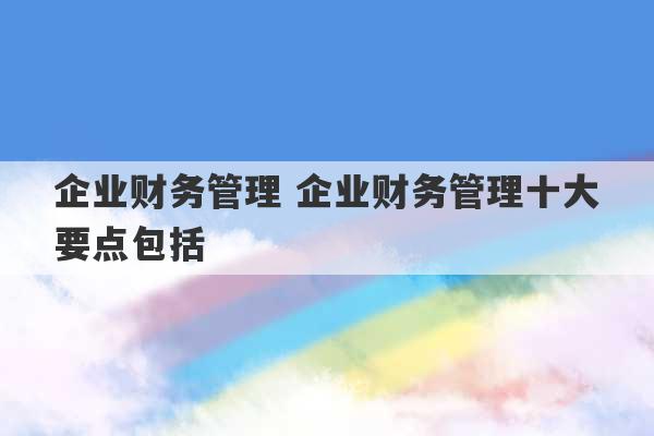 企业财务管理 企业财务管理十大要点包括