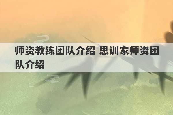 师资教练团队介绍 思训家师资团队介绍