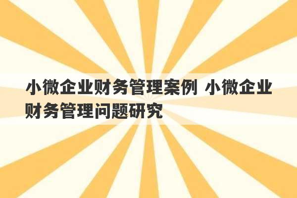 小微企业财务管理案例 小微企业财务管理问题研究