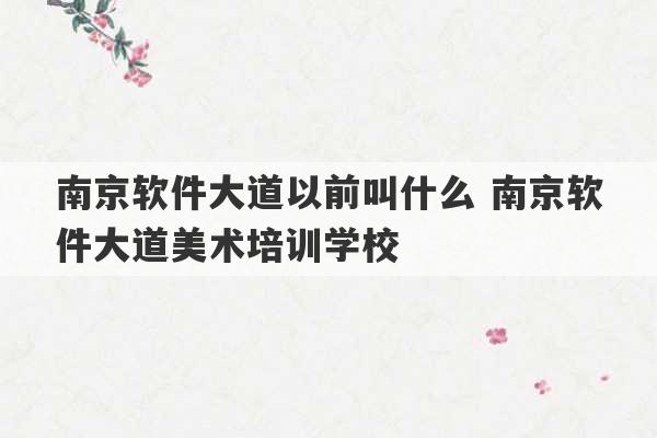 南京软件大道以前叫什么 南京软件大道美术培训学校