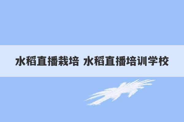 水稻直播栽培 水稻直播培训学校