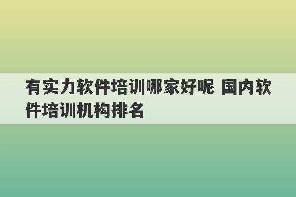 有实力软件培训哪家好呢 国内软件培训机构排名