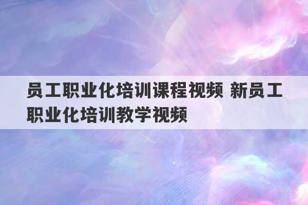 员工职业化培训课程视频 新员工职业化培训教学视频