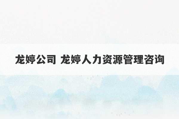 龙婷公司 龙婷人力资源管理咨询