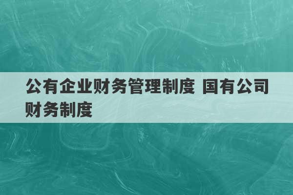 公有企业财务管理制度 国有公司财务制度