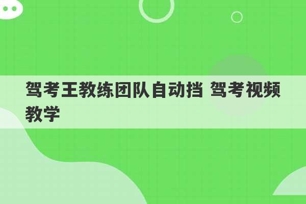 驾考王教练团队自动挡 驾考视频教学