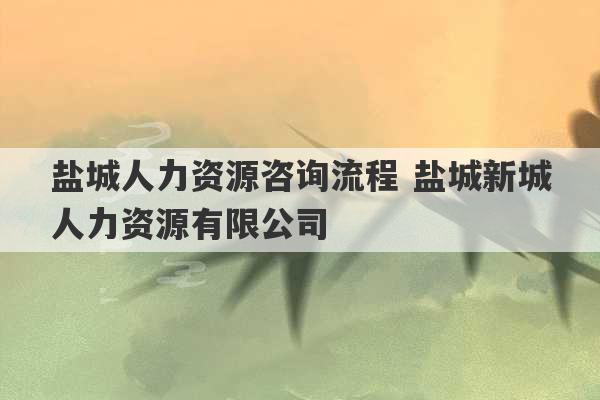 盐城人力资源咨询流程 盐城新城人力资源有限公司