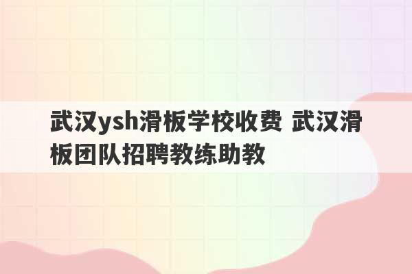 武汉ysh滑板学校收费 武汉滑板团队招聘教练助教