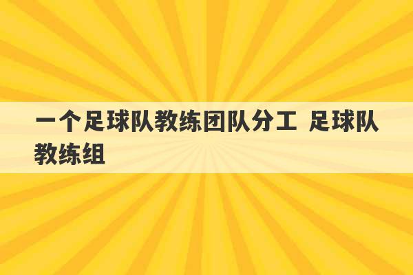 一个足球队教练团队分工 足球队教练组