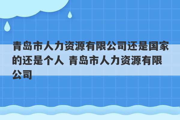 青岛市人力资源有限公司还是国家的还是个人 青岛市人力资源有限公司