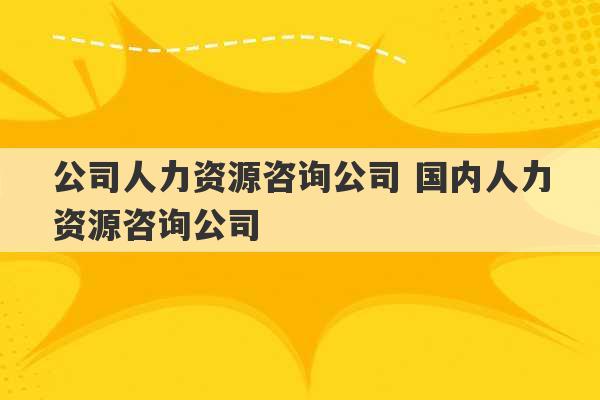 公司人力资源咨询公司 国内人力资源咨询公司