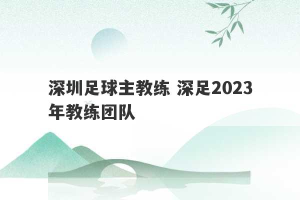 深圳足球主教练 深足2023
年教练团队