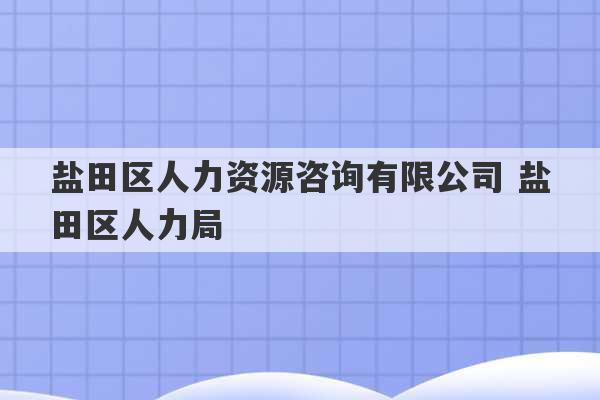 盐田区人力资源咨询有限公司 盐田区人力局