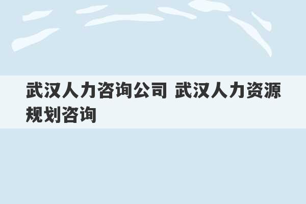 武汉人力咨询公司 武汉人力资源规划咨询